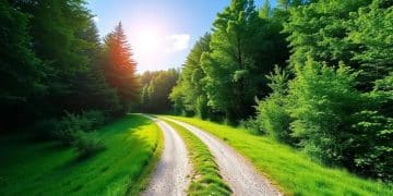 Million financial freedom path: How to start today